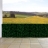 Siepe artificiale privacy balcone giardino rete decorativo N77 poliestere scuro 500x150cm