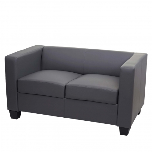 Divano sofa 2 posti lounge moderno elegante serie Lille M65 75x137x70cm ecopelle grigio scuro