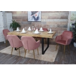 Set 6x sedie poltroncine HWC-F18 design retr velluto rosa gambe dorate