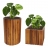 Set 2x vasi per piante con inserto HWC-L24 legno acacia rotondo quadrato legno chiaro